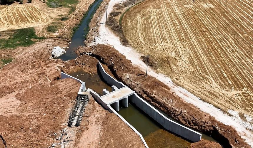Kimse beklemiyordu: Şanlıurfa'da Harran Ovası'nın kaderi yeniden yazılıyor