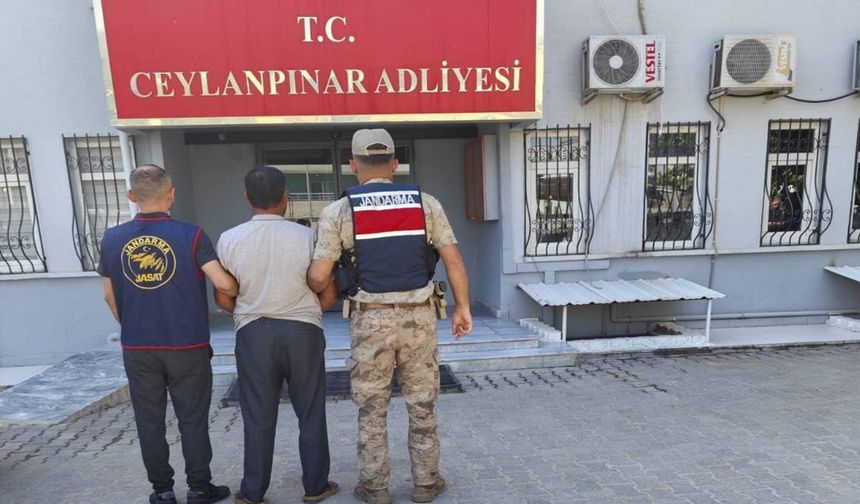 Şanlıurfa'da firari şahsa JASAT operasyonu!