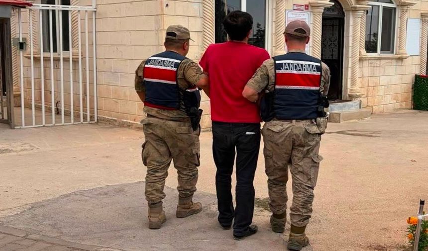 Şanlıurfa'da hücre operasyonu: Operasyonların detayı belli oldu!