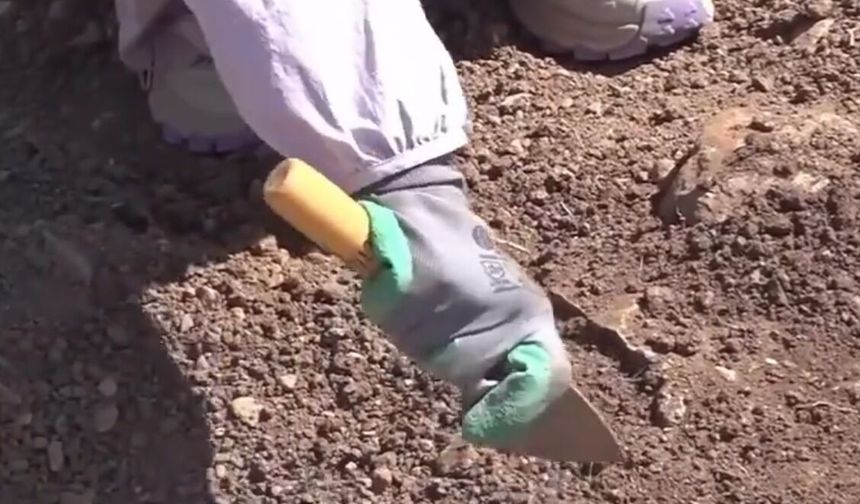 Çin’in Türkiye’deki ilk arkeolojik kazısı Şanlıurfa’da: Büyükelçi Xuebin'den kritik açıklama