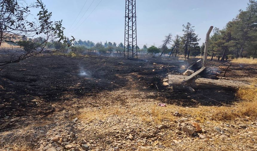 Şanlıurfa’da Anız Yangını Kısa Sürede Söndürüldü