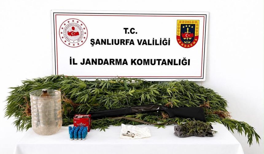 Şanlıurfa’da hareketli dakikalar: Önce tespit, sonra yakapaça gözaltı!