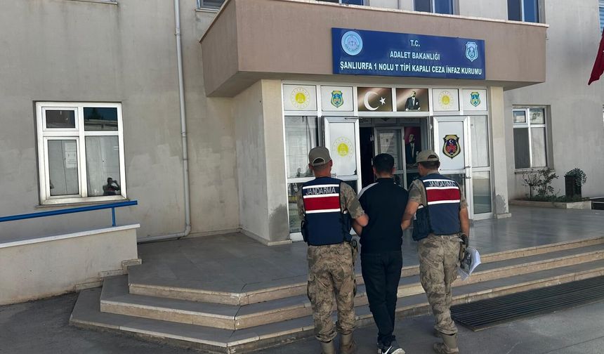 Şanlıurfa’da JASAT ve jandarmadan operasyon!