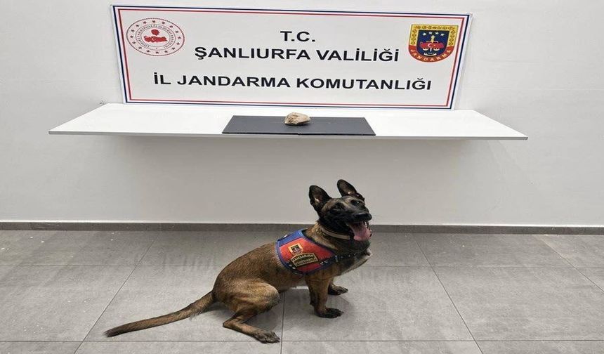Şanlıurfa’da uyuşturucu simsarlarına operasyon: 1 gözaltı!