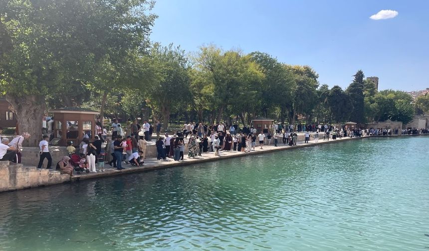 Görenler gözlerine inanamadı: Şanlıurfa'da tarihi gün, sebebini duyan şaşırıyor!
