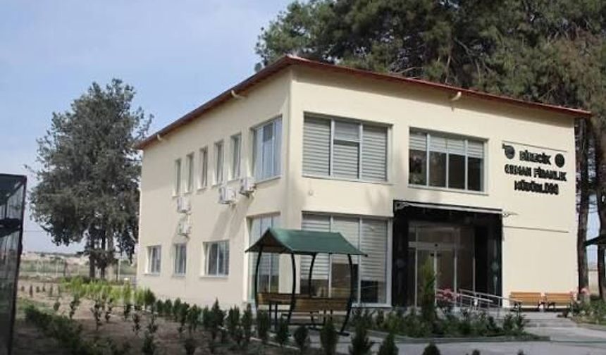 Birecik Orman Fidanlık ihalesi için son gün 28 Eylül: İşte şartlar