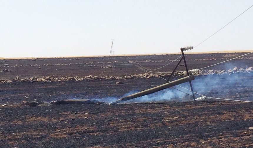 Toprakta verim, şebekelerde enerji tükeniyor! Dicle Elektrik'ten Şanlıurfa ve Güneydoğu için hayati uyarı!
