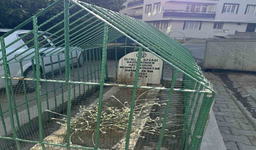 Şanlıurfa'nın komşusunda görenler bir kez daha dönüp bakıyor: Şehrin göbeğinde tek başına duruyor!