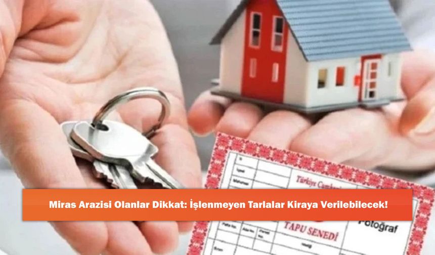 Miras Arazisi Olanlar Dikkat: İşlenmeyen Tarlalar Kiraya Verilebilecek!
