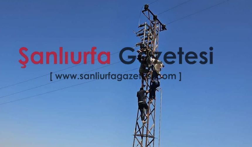 Şanlıurfa’da elektrik akımına kapılan vatandaş direkte asılı kaldı!