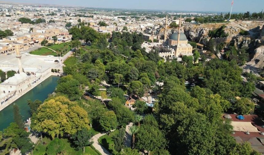 Şanlıurfa’da Balıklıgöl İçin Dikkat Çeken Proje! Aynzeliha Yenileniyor
