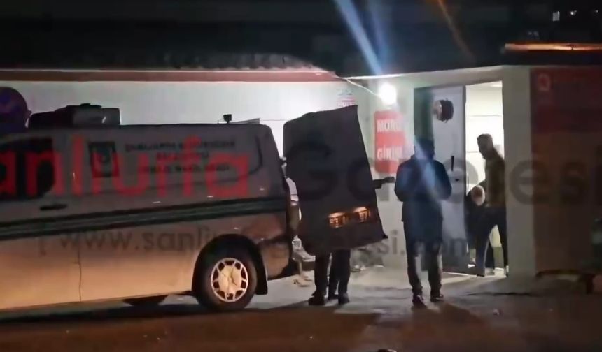 Şanlıurfa’da Otomobil Koyun Sürüsüne Çarptı: 1 Ölü, 2 Yaralı