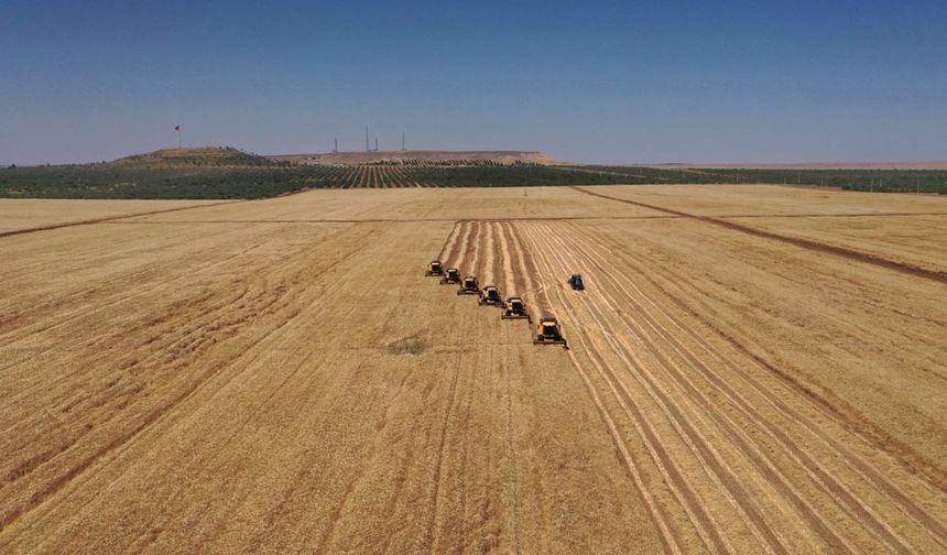 TİGEM Şanlıurfa için o cihaz alımı için düğmeye bastı: Firmaların gözü bu tarihte