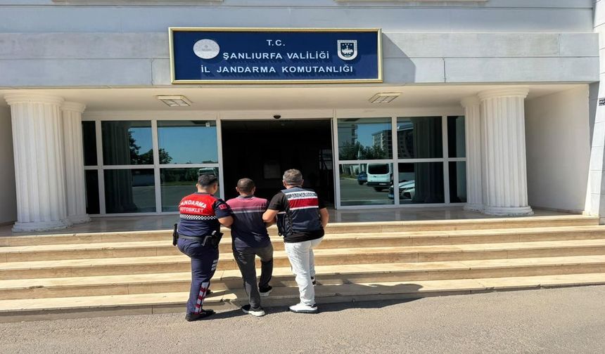 Şanlıurfa'da firariler sokaklardan temizleniyor: Jandarma affetmedi!