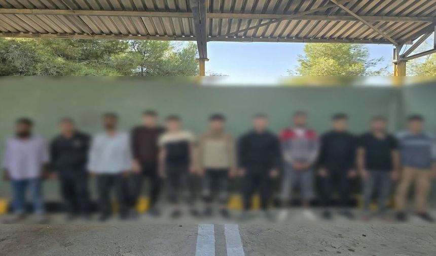 Şanlıurfa’da insan kaçakçılarına operasyon: 143 gözaltı!