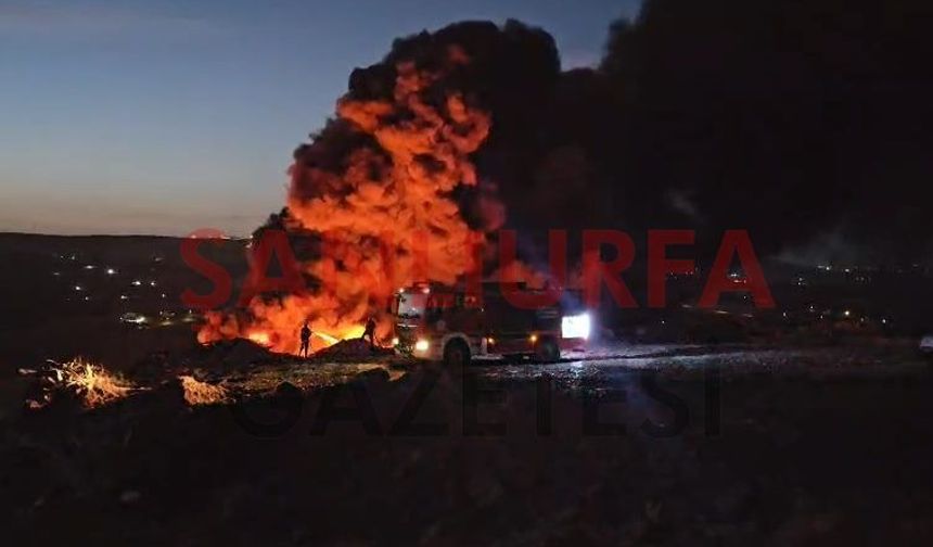 Şanlıurfa’da korkutan yangın! Alevler yerleşim alanına yaklaştı