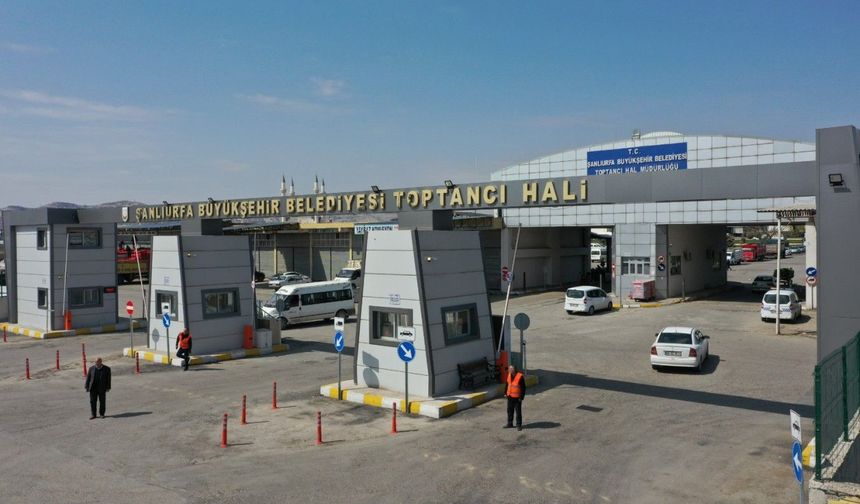 Şanlıurfa Halinde Fiyatlar Değişti: Domates, Biber Ve Patlıcan Kaç TL Oldu?