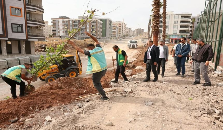 Karaköprü’de Ağaçlandırma Seferberliği! 2027 Planı Şimdiden Hazırlanıyor