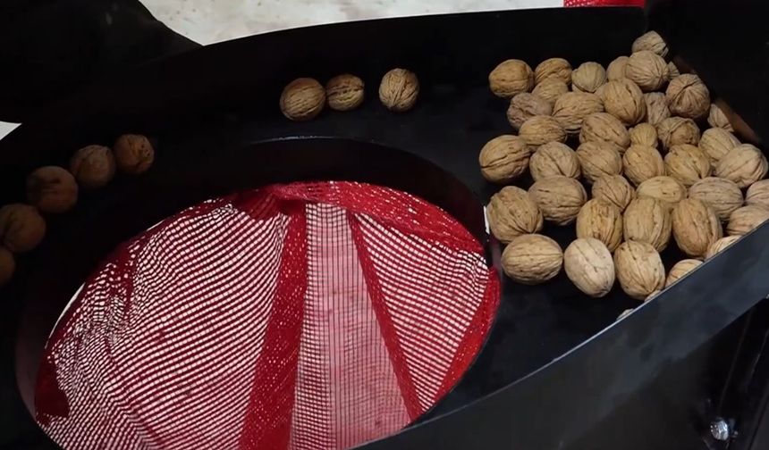 Şanlıurfa baklavasına yerli transfer: Sanayinin ceviz ihtiyacı Dinar’dan karşılanıyor
