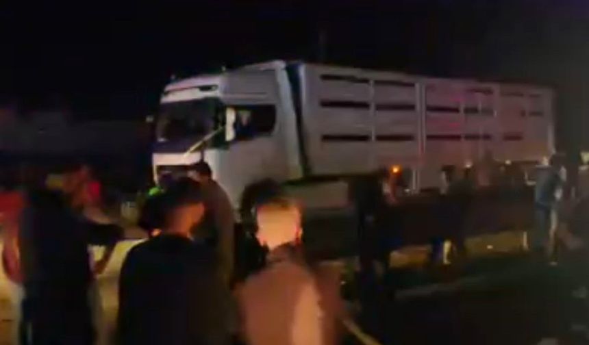 Bingöl Genç Köprüsü’nde Can Pazarı: 2 Kişi Öldü