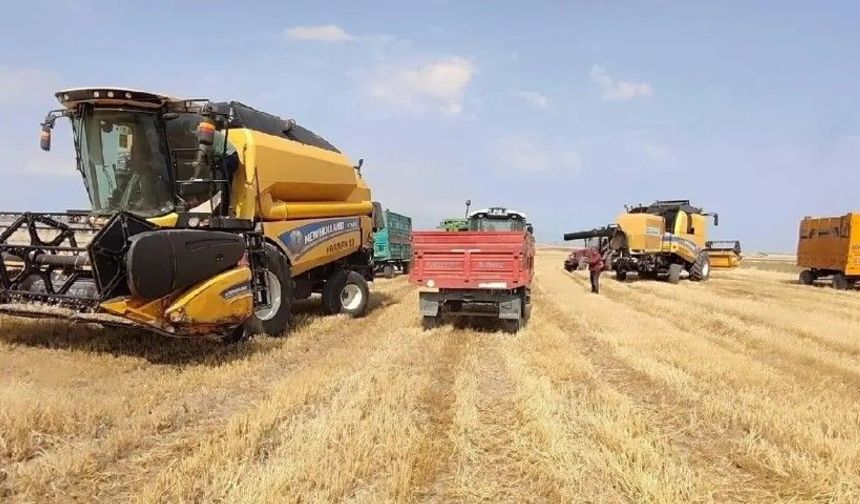 Güneydoğu’dan Dünyaya 3,3 Milyon Ton Hububat ve Gıda Ürünü
