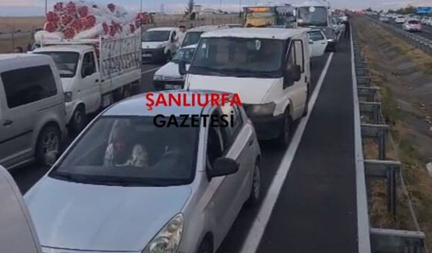 TEKNOFEST yoğunluğu Şanlıurfa-GAP Havalimanı yolunu kilitledi