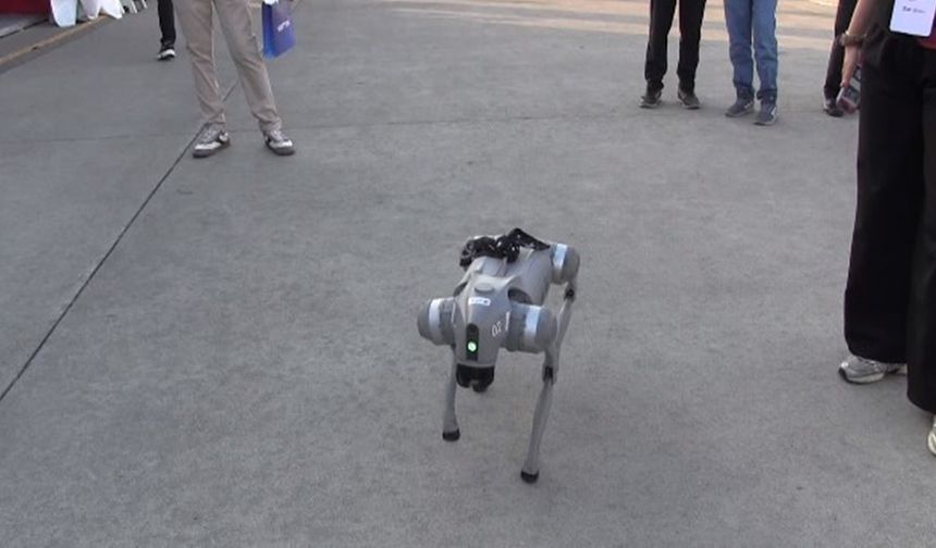 TEKNOFEST Güneydoğu’da robot köpek dans etti, kalp yaparak çocukların sevgilisi oldu!