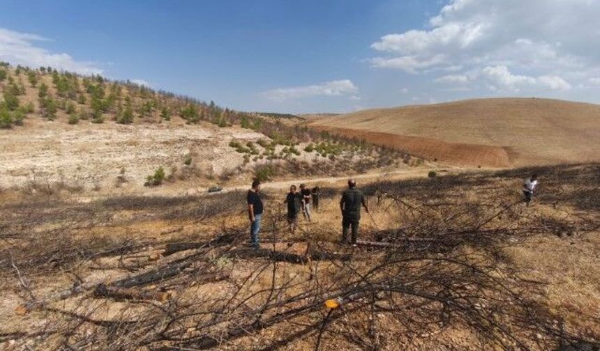 Şanlıurfa Birecik'te son durum ne? Erozyon Kontrolü Uygulama Proje Sahası’nda yerinde inceleme