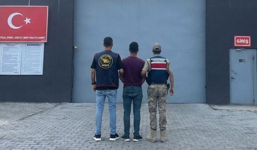 Şanlıurfa Ceylanpınar'da firari operasyonu!