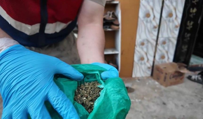 Şanlıurfa’da Uyuşturucu Operasyonu: 29 Şüphelinin Tamamı Tutuklandı!