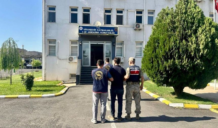 Şanlıurfa Viranşehir'de silahlı yağmacıya darbe: Firar bitti!