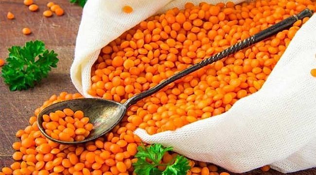 Ceylanpınar Tarım İşletmesi, 3 bin 562 ton mercimek satacak