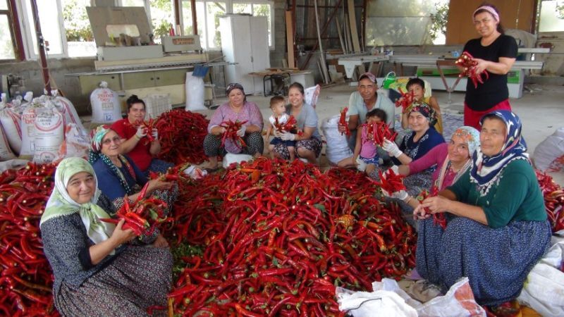 Dünyanın gözü Şanlıurfa'da olacak, büyük gün geldi: "Gastronomi kentinde pazarlar alev alacak"