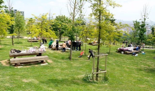 Şanlıurfa'da yeşil operasyonu: Düğmeye basıldı