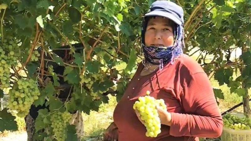 Şanlıurfa'da tarım bereketlenecek: Tarım Bakanı Yumaklı müjeyi verdi!
