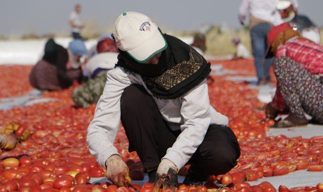 Türkiye'nin ihracat oranları ivme kazanıyor!