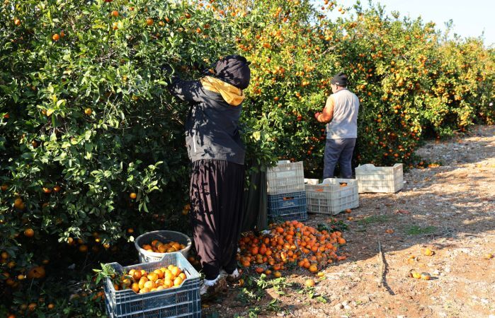 Tarım Kredi Kooperatifleri Şanlıurfa Bölge Birliği Genel Kurulu için tarih belli oldu