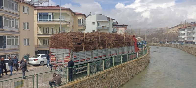 Sivas'ta Çiftçilere 50 Bin Kayısı Fidanı Dağıtıldı!1