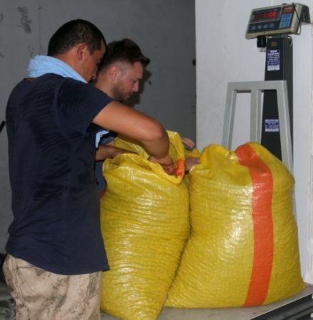 Fındıkta Son Dakika Üreticide Kalmadı, Gözler Rekoltede!1-1