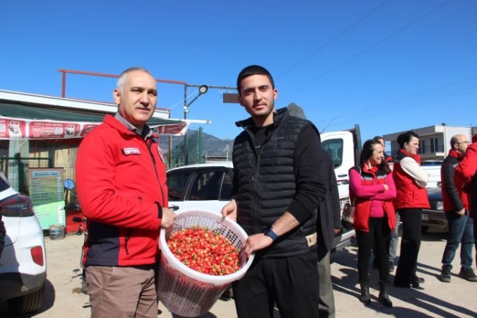 Manisa'da Kiraz Şok Fiyat!2