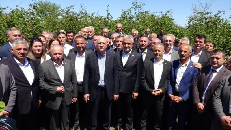 İklim Krizi Tarımı Vurdu Fındıkta Büyük Kayıp, Çiftçide Umutsuzluk2