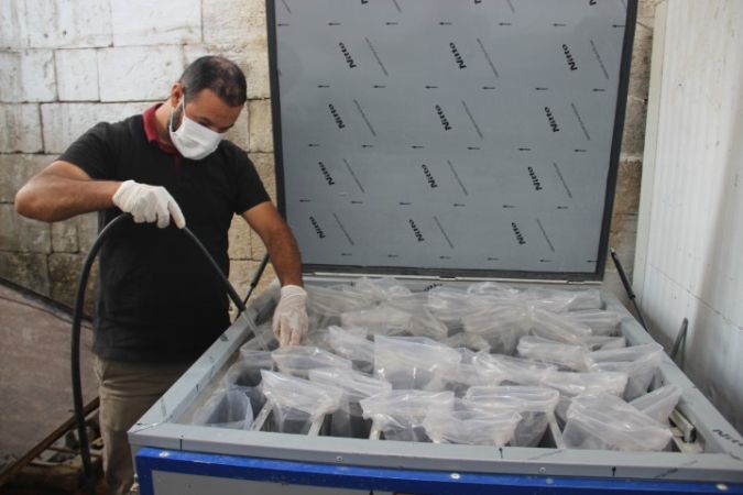 Şanlıurfa’da Buz Gibi Rekor!