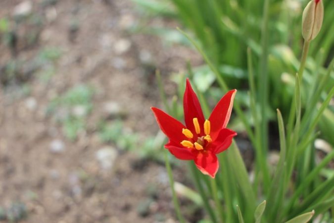 Aw461735 03 (Küçük)