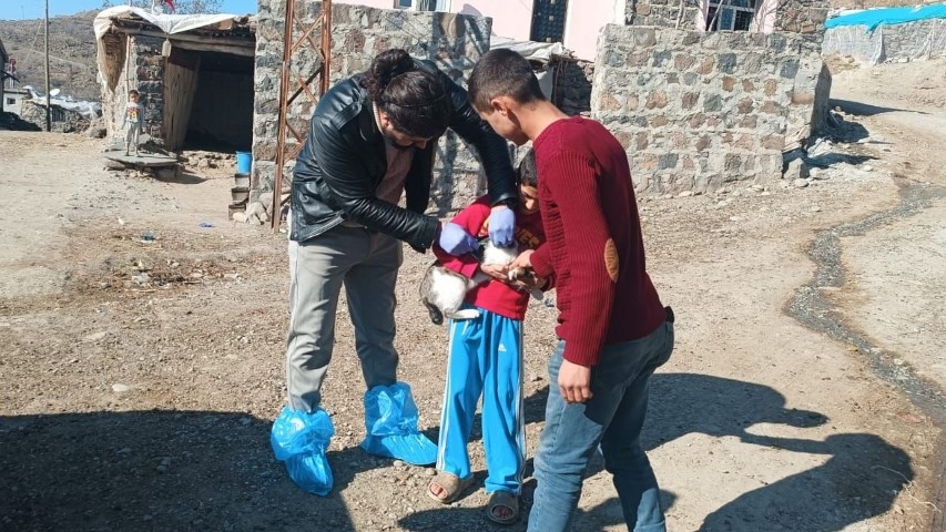 Şanlıurfa'nın Siverek İlçesinde Kuduz Vakası1