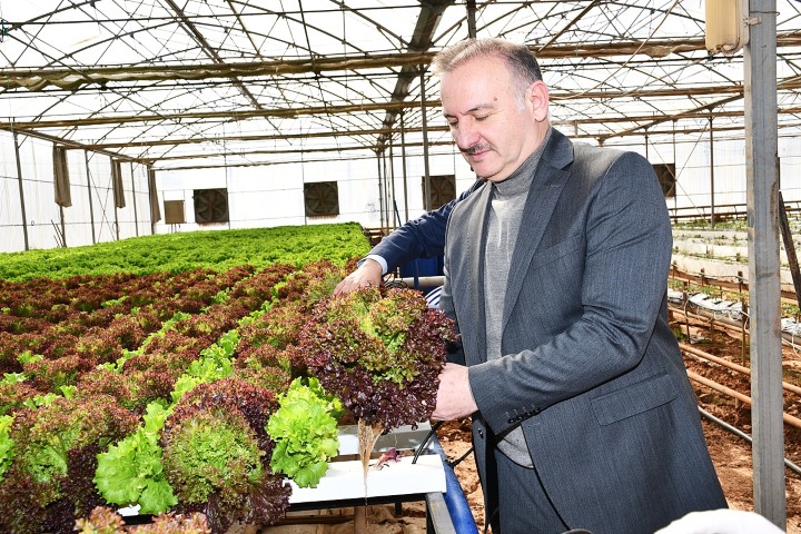 Harran Üniversitesi’nde Tarıma Can Suyu Atıl Sera Yeniden Üretime Başladı1