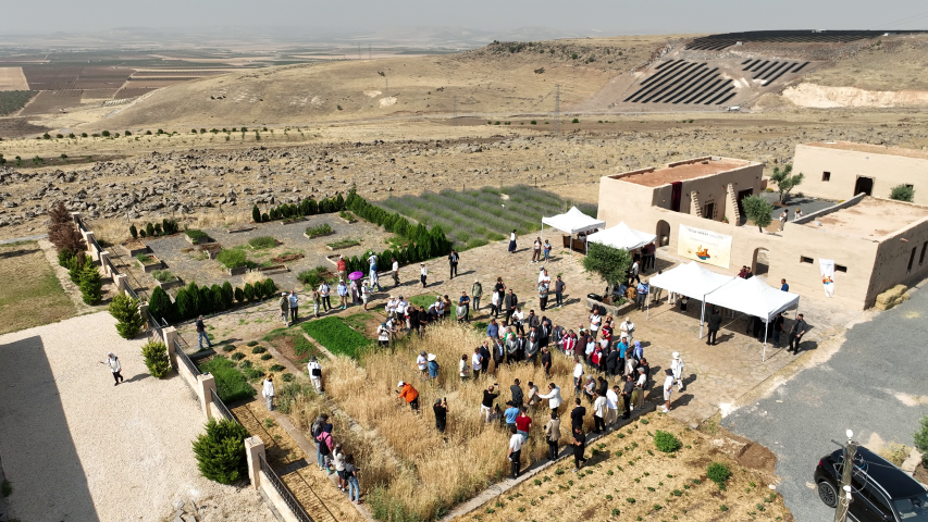 Şanlıurfa, Buğdayın Yolculuğuna Ev Sahipliği Yapıyor!