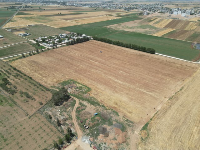 Şanliurfa Büyükşehi̇r Beledi̇yesi̇’nden Soya Eki̇mi̇yle Toprak Veri̇mli̇li̇ği̇ne Katki (1) (Küçük)
