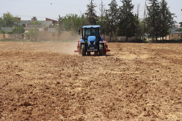Şanliurfa Büyükşehi̇r Beledi̇yesi̇’nden Soya Eki̇mi̇yle Toprak Veri̇mli̇li̇ği̇ne Katki (4) (Küçük)