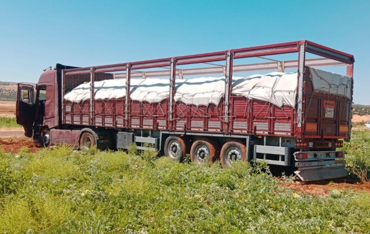 Vatandaşa 27 Ton Karpuz Dağıttı3 (Küçük)
