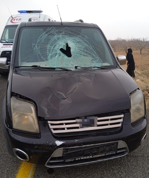 Aw607693 01 (Küçük)